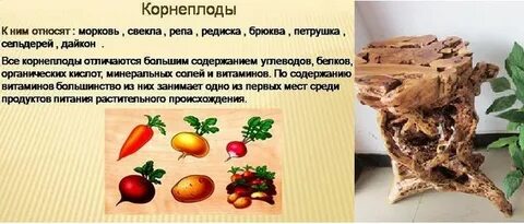 Употребить какой корень
