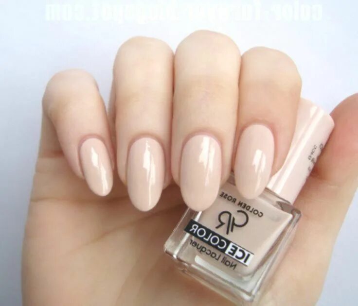 Лак ice color. Лак голден роуз айс колор 104. лак &quot;golden rose&quot; ice color 165. лак golden rose ice color. лак для ногтей golden rose ice color 104.