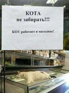 Если она не заберет