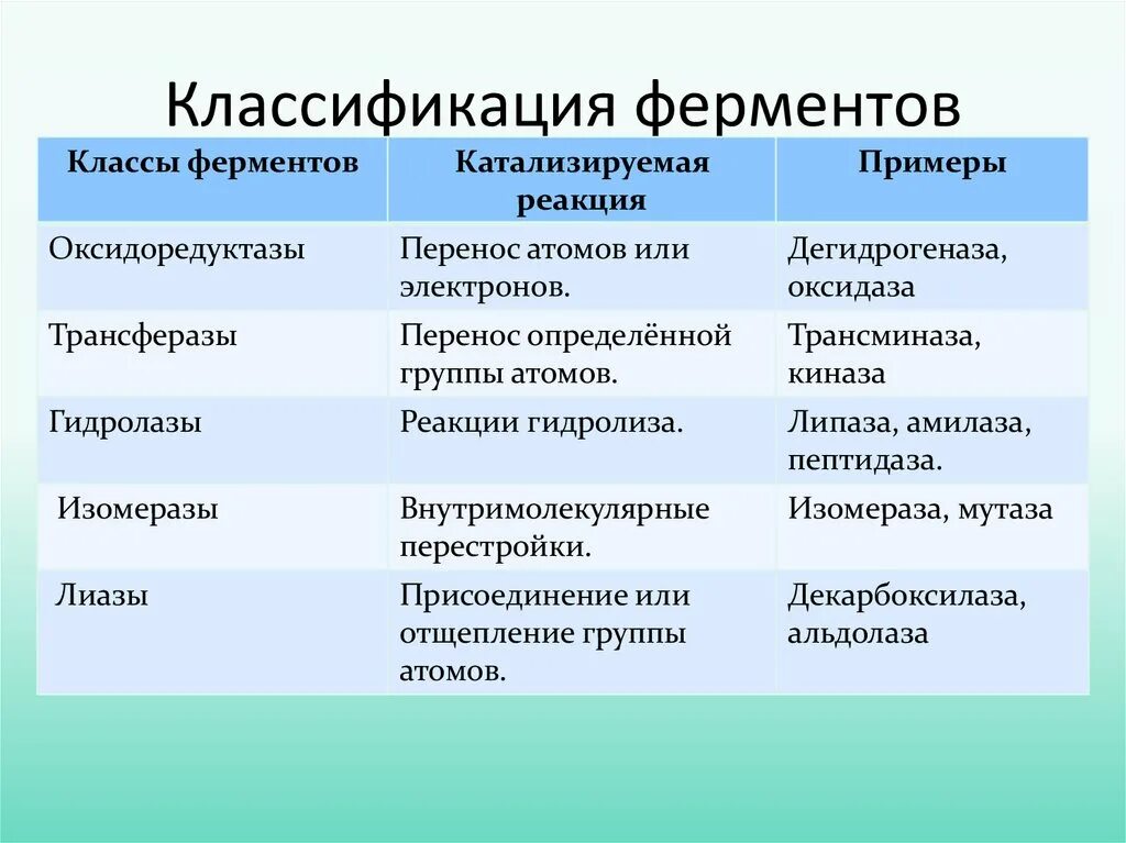 Укажите функцию ферментов. Классификация ферментов. Классификация ферме ов. Клссификацияферментов. Классификация Фер ентов.