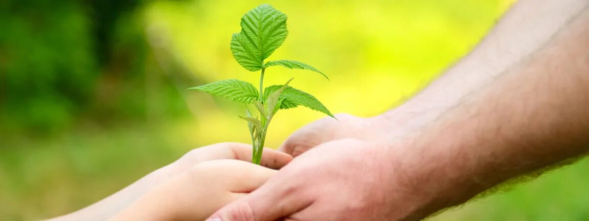 Зеленая экономика и устойчивое развитие. Ecology development. Экономическая экология. Зеленая экономика. Устойчивое развитие города.