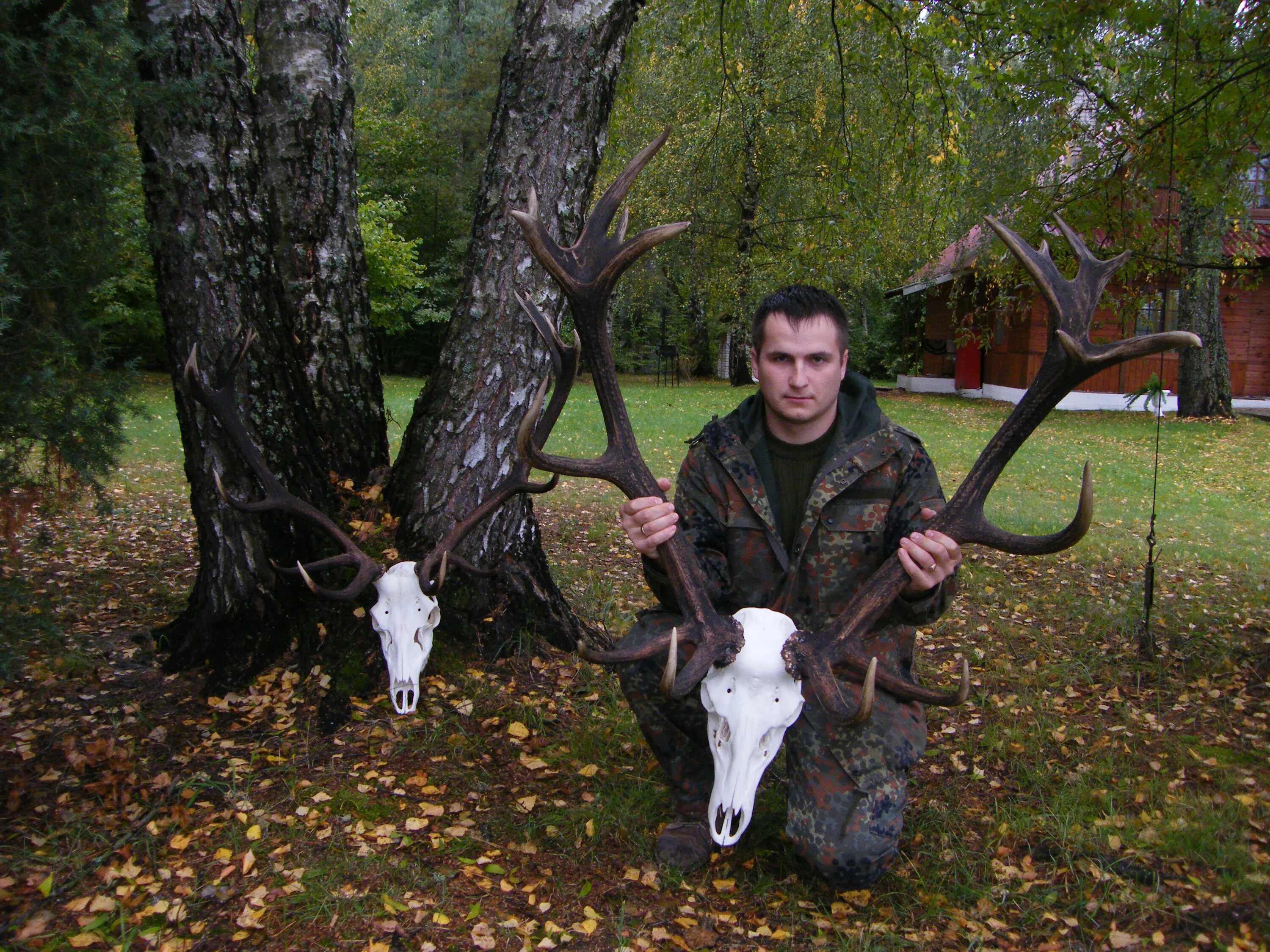 белый лесок