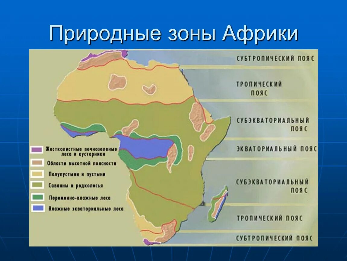 Занимает обширные равнины африки природная зона