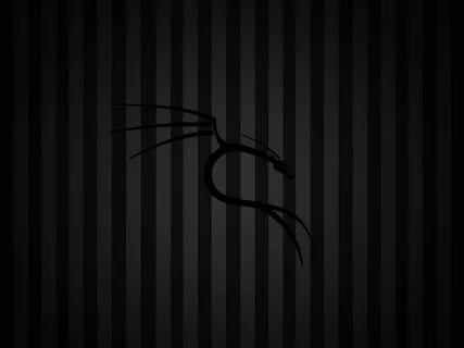 Kali linux черный экран