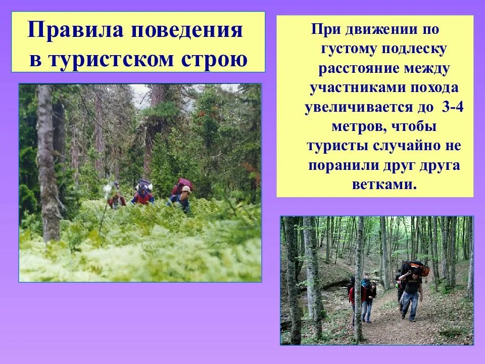 Правила поведения в походе. Безопасность в походе. правила безопасности в туристском походе. правила поведения в тористом походе. памятка поведения в походе.