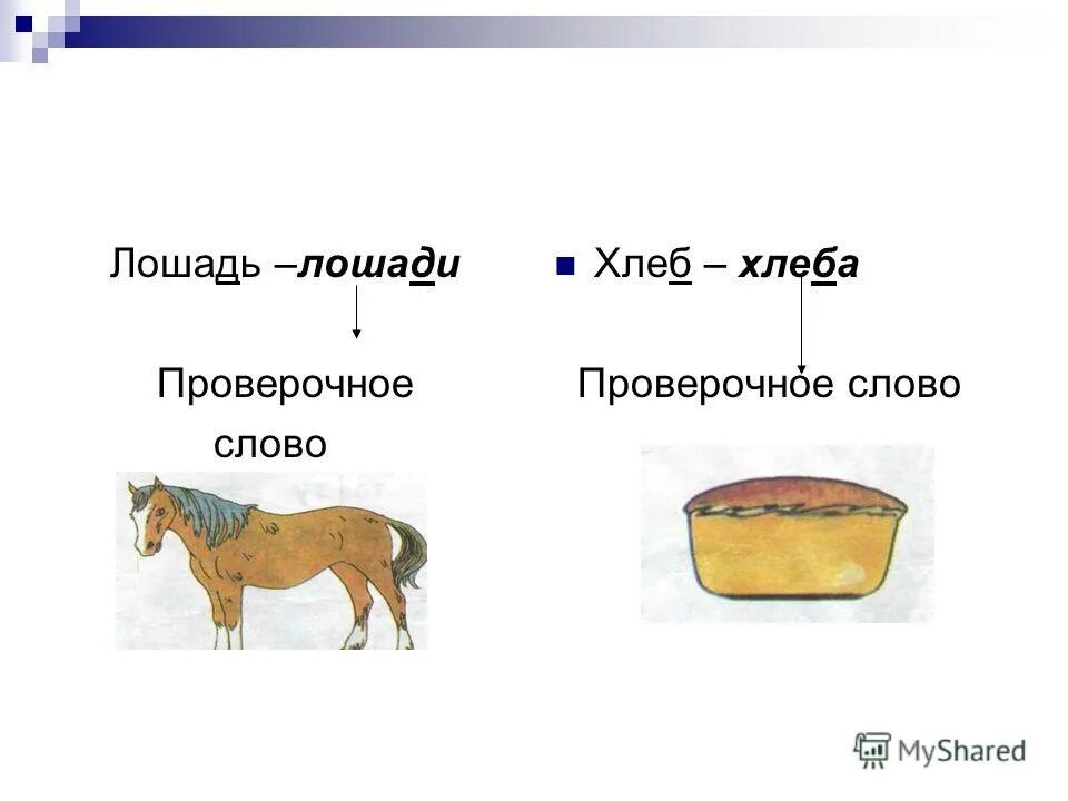 Лошадка проверочное