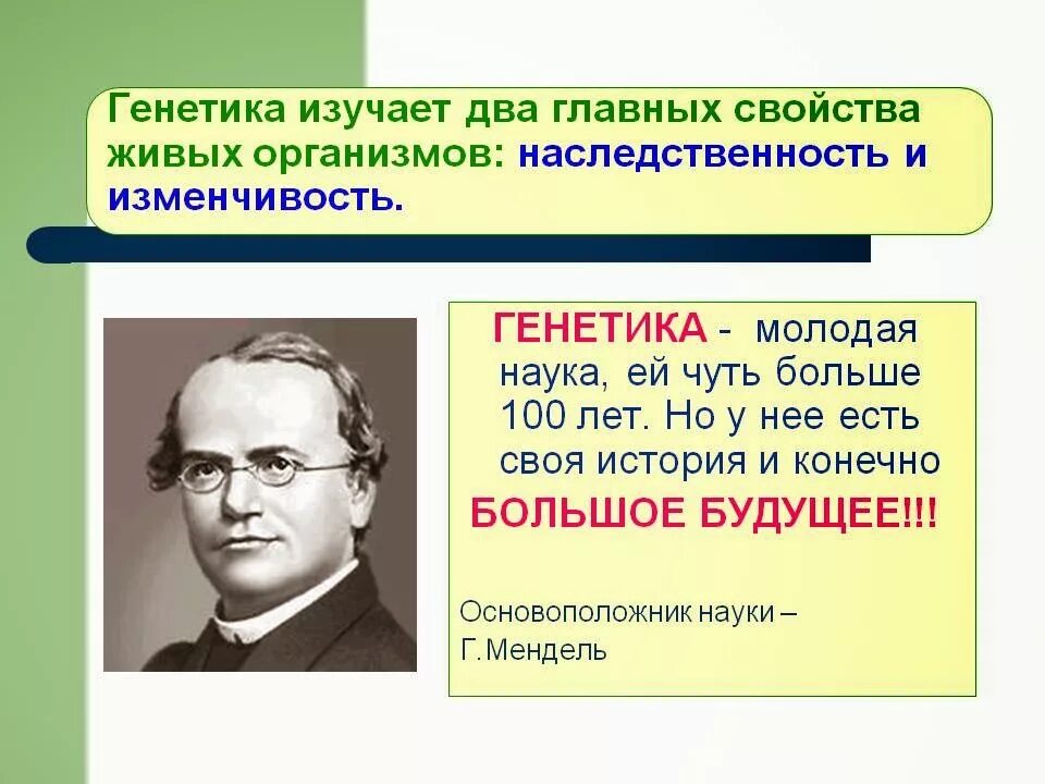 Что является изучением генетики. Генетика презентация. Изучение механизма наследственности 9 класс. Что изучает генетика. Как изучается генетика.