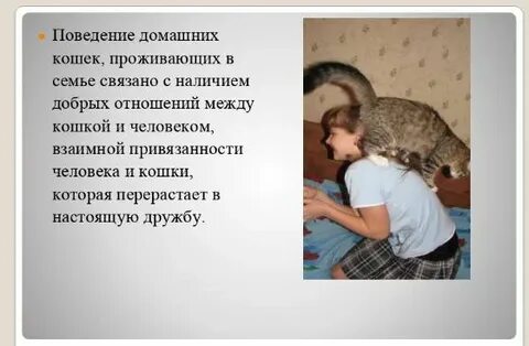 Наличие добрый