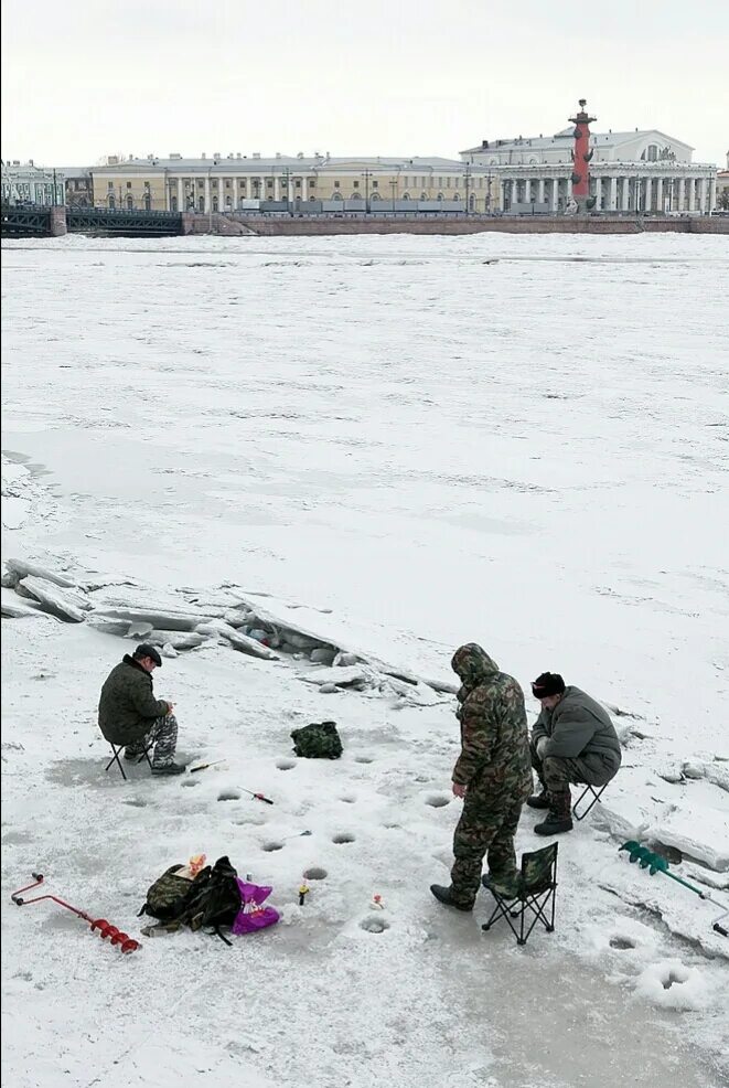 Рыбаки в Питере. Зимняя рыбалка в СПБ. Рыбак в СПБ зимой. Рыбалка в Санкт-Петербурге в январе. Ловли санкт петербург