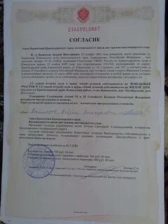 Родитель продал долю несовершеннолетнему