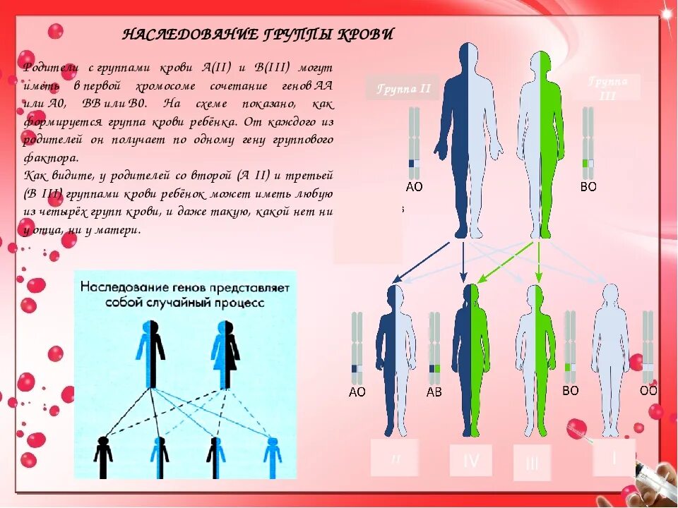 Наследование групп крови ребенком. Схема наследования групп крови. Как передается группа крови детям. Наследование группы крови от родителей. Группа крови как передается от родителей к детям.