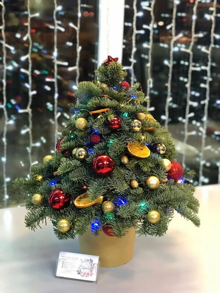 эспаркус ёлочка в букете. вместо елки букет поделка своими. название букетной елочки. новогодний букет с елью. вместо елочки букет из воздушного пластилина.