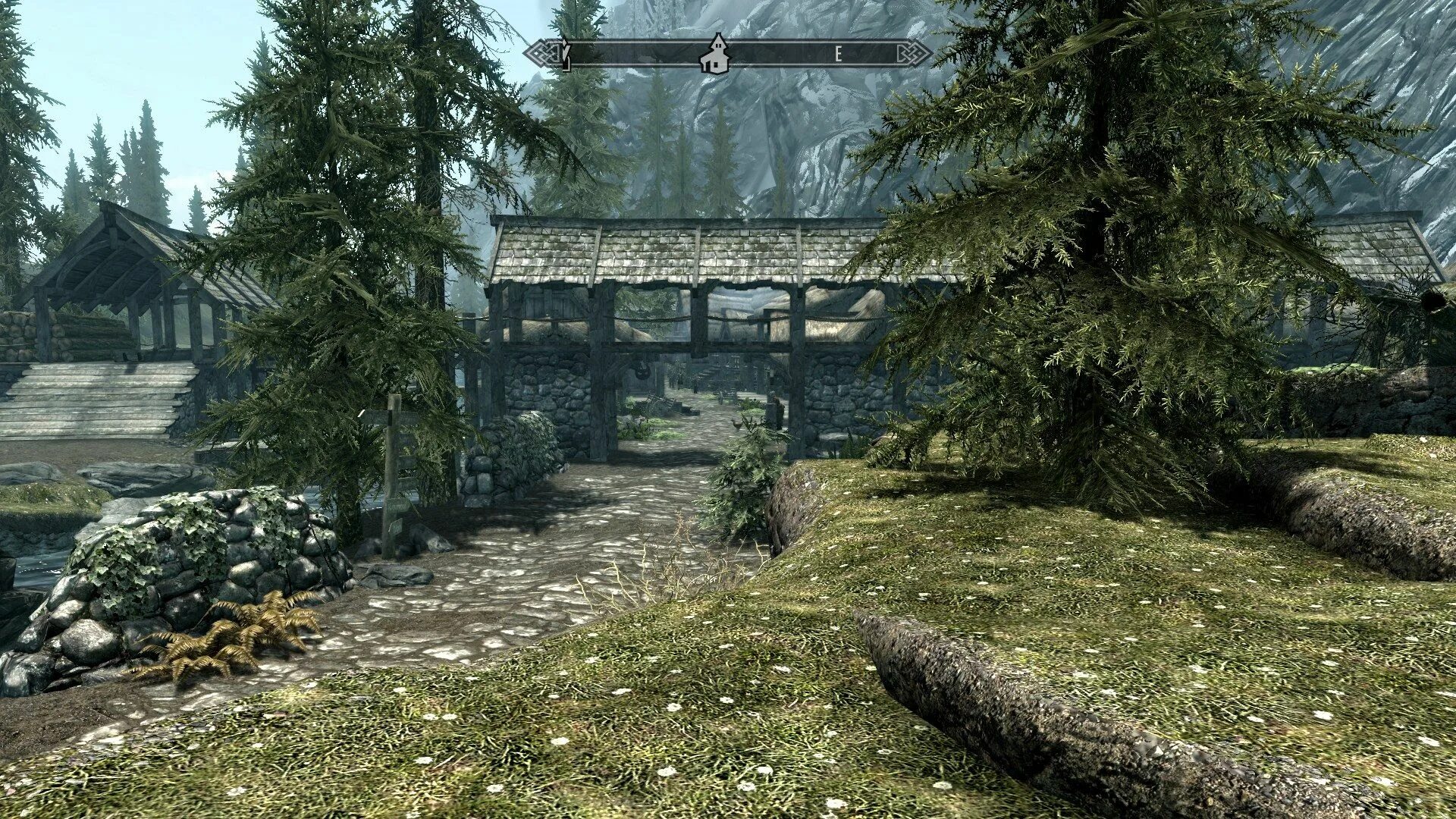 Skyrim graphics. FXAA Skyrim что это. Скайрим Графика. Скайрим максимальная Графика. The Elder Scrolls v: Skyrim.