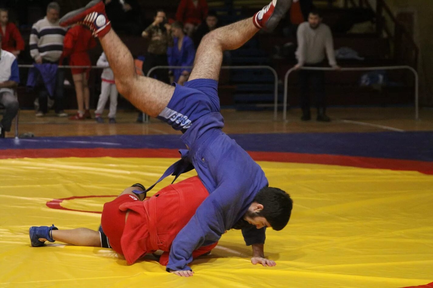 Самбо валдай клуб. Татами самбо. Самбо спортшкола. Самбо в школе искусств одинцово. Самбо одинцово.