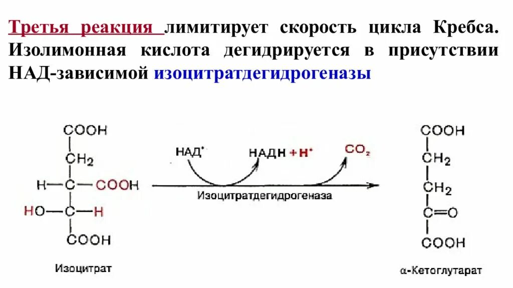 Реакции образования циклов. Реакция окислительного декарбоксилирования изолимонной кислоты. Уравнение реакции окислительного декарбоксилирования изоцитрата. Превращение цитрата в Альфа кетоглутарат. Превращение изоцитрата в а-кетоглутарат.