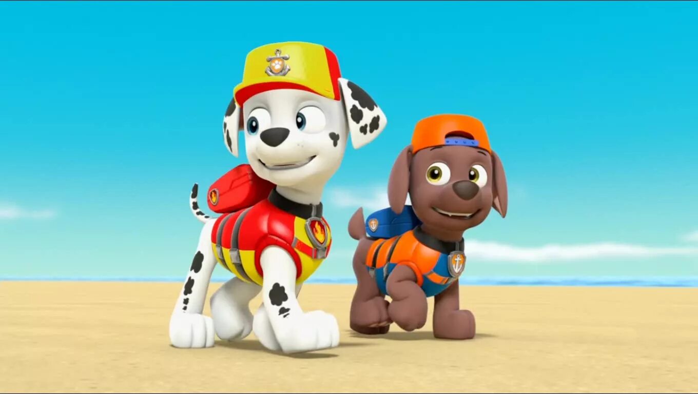 Щенячий картинки из мультика. Морской щенячий патруль мультик. paw patrol sea patrol. sea patrol paw patrol зума. морской патруль мультик щенячий патруль.