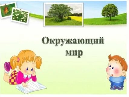 Красота нас окружающий мир