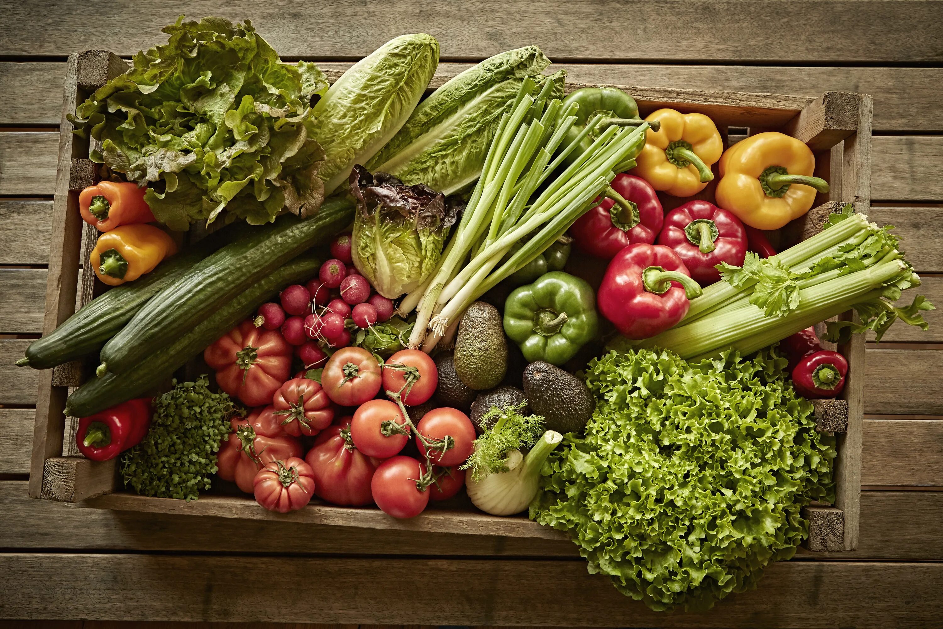 Fresh food