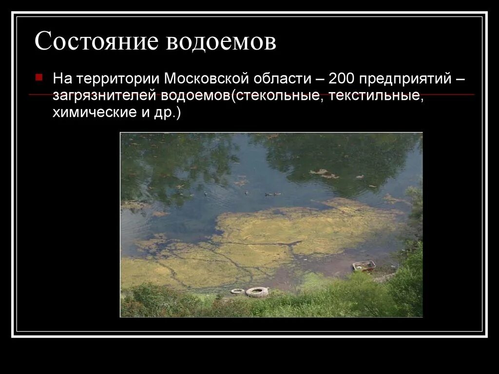 « Экология Подмосковья презентация. Проблемы Московской области. Экологические проблемы Московской области. Экология водоемов Подмосковья. Статус водоемов