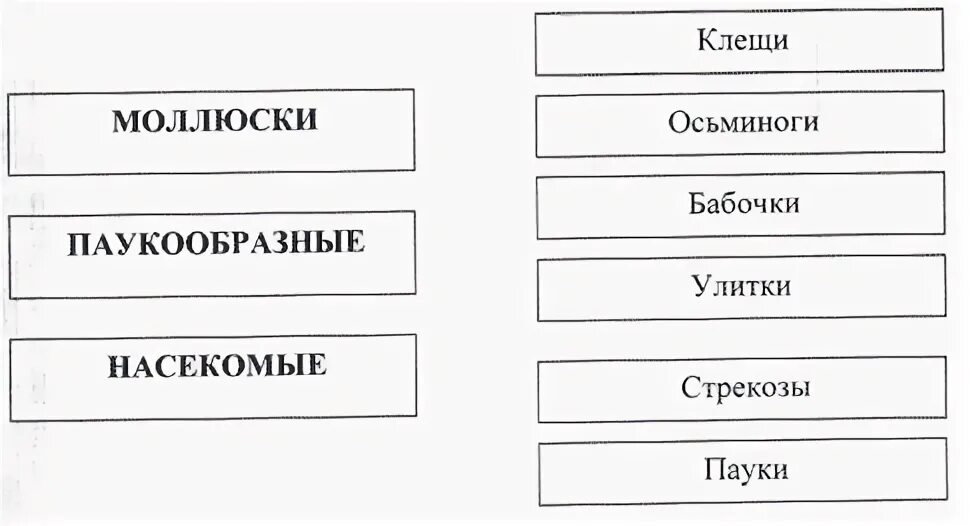 Таблица групп животных 3 класс