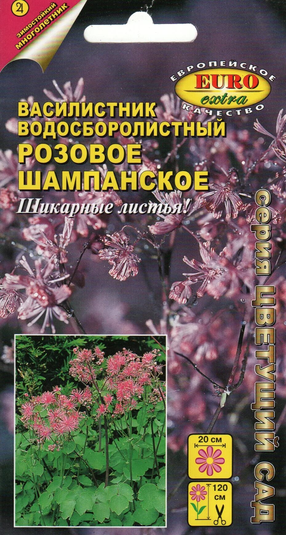 Василистник рохебрунский. Василистник Делавея семена. Василистник водосборолистный. Василистник розовое шампанское. Василистник семена купить