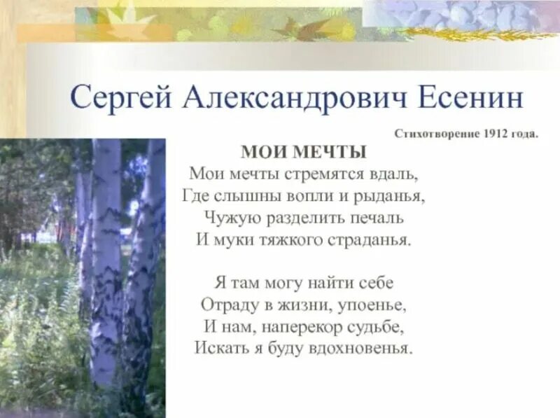 Стихотворение есенина 6 класс по литературе. 5 стихов есенина. Есенин с. Стих про ё. Стихотворение есенина 6 класс по литературе.