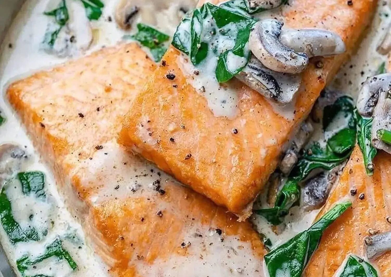 Easy Salmon Florentine Recipe Easy salmon recipes, Salmon recipes, Salmon floren