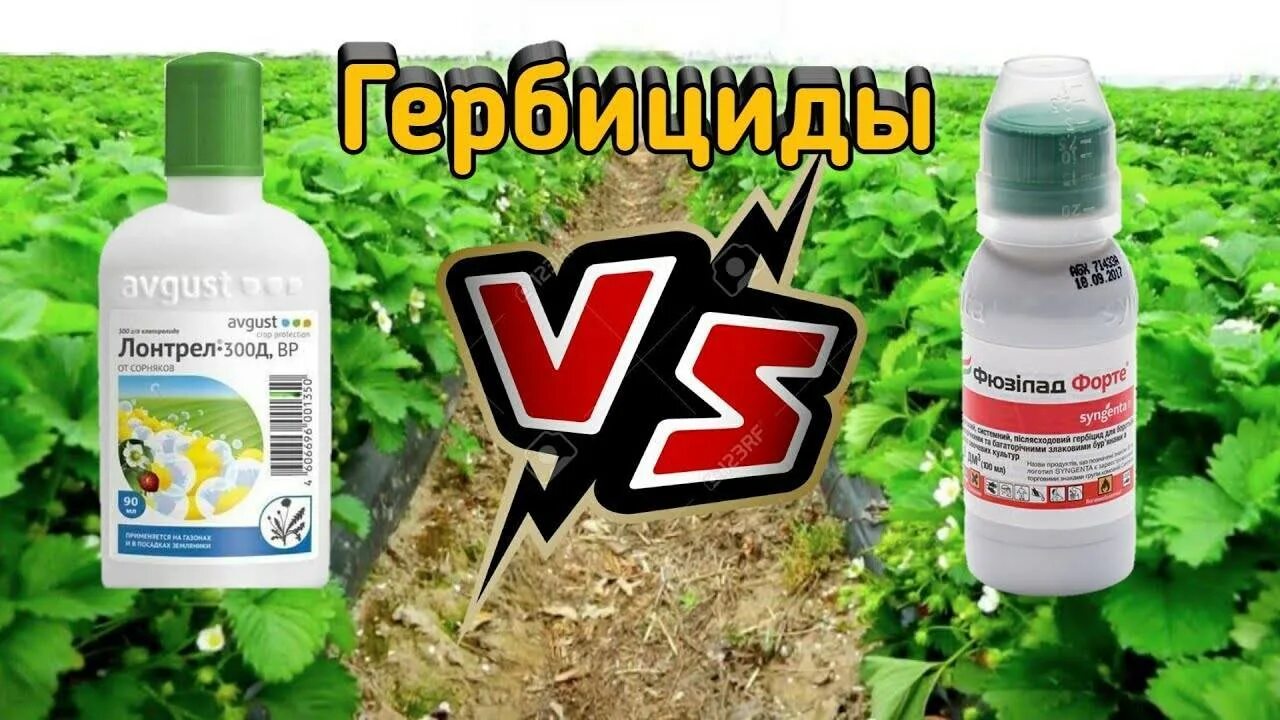 Какой гербицид лучше для уничтожения сорняков. Отрава от сорняков для клубники. гербицид для клубники. гербицид по клубнике от сорняков. пестициды для клубники.