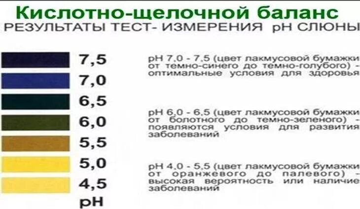 Кислотно-щелочной баланс норма PH. Щелочная среда PH В организме человека. РН крови кислая или щелочная. PH слюны в норме. Кислотность мочи у мужчин