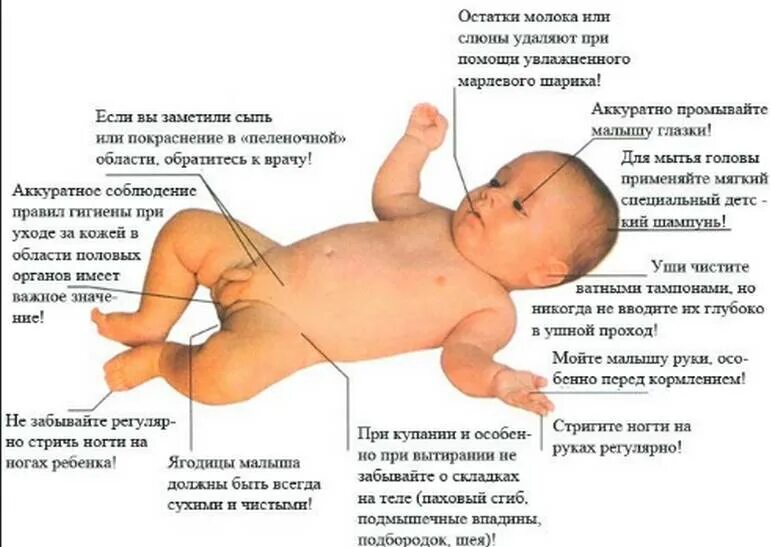 Можно ли с открытое головкой. Новорожденных мальчики органы. Половые органы новорожденных. Половые органы новорожденных девочек. Половые органы мальчика грудничка.