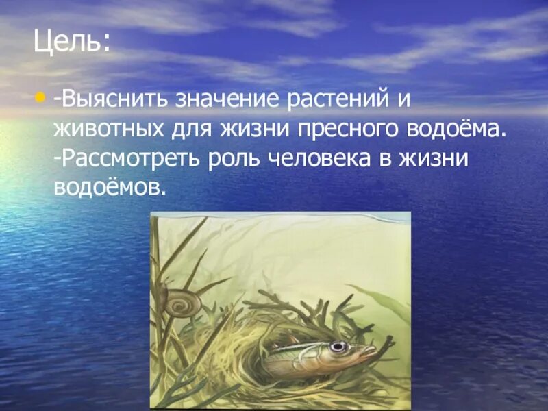 Значение пресного сообщества для человека