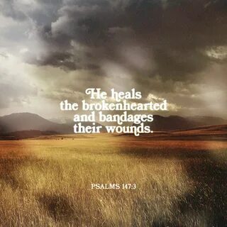 Psalms 147:3 He heals the brokenhearted and binds up their wounds. New Internati