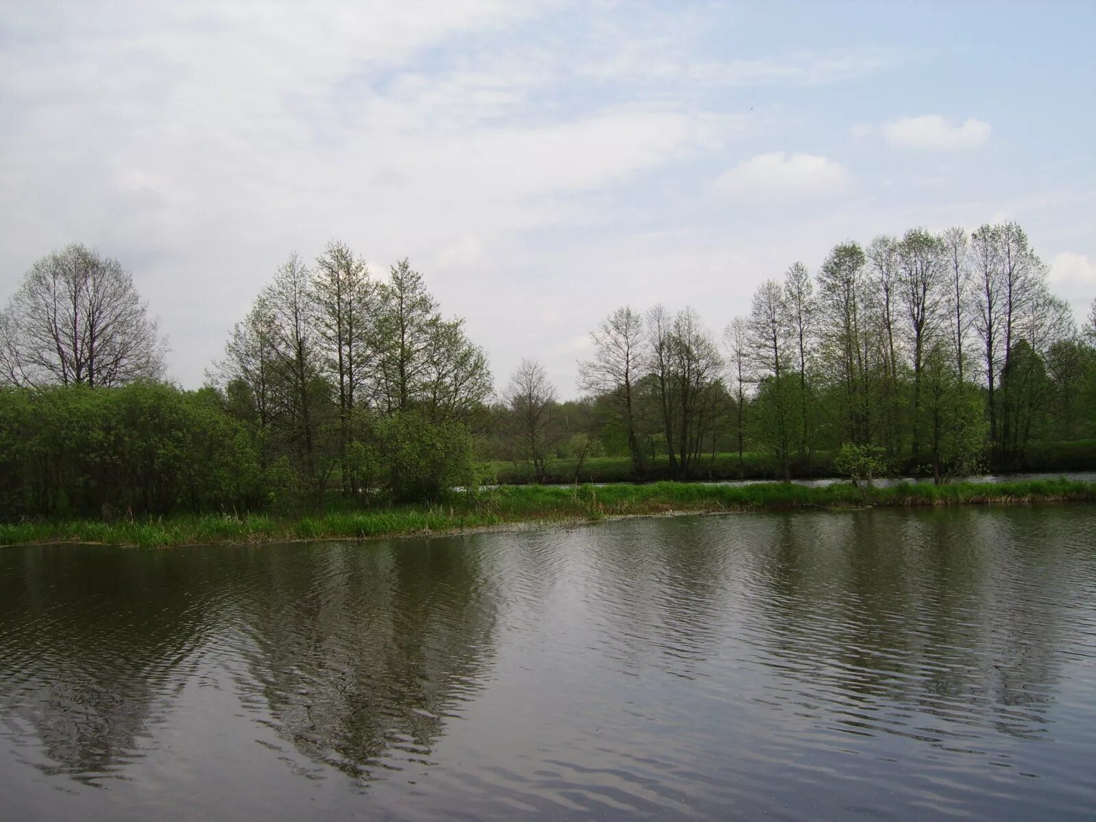 Московская область поселок мамонтова. Ногинск мамонтово. Храм мамонтово ногинского района. Мамонтово ногинского района речка. Мамонтово ногинск.