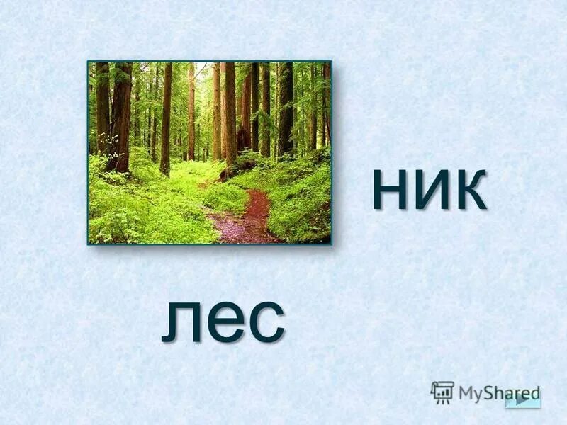 Загадки про лес 3 класс. Слово лес. Подбери к каждому слову название предмета. Как называется слово лес. Как называется слово лес.