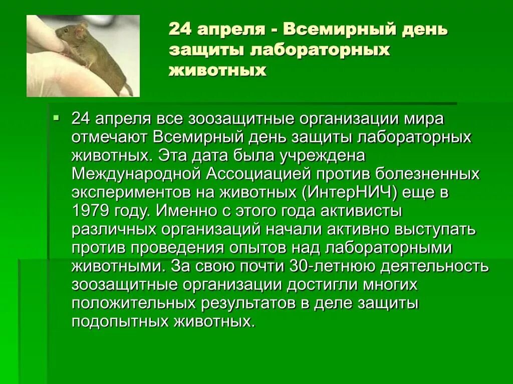 День защиты лабораторных животных. Всемирный день лабораторных животных. 24 Апреля Всемирный день защиты лабораторных. Всемирный день лабораторных животных 24 апреля.