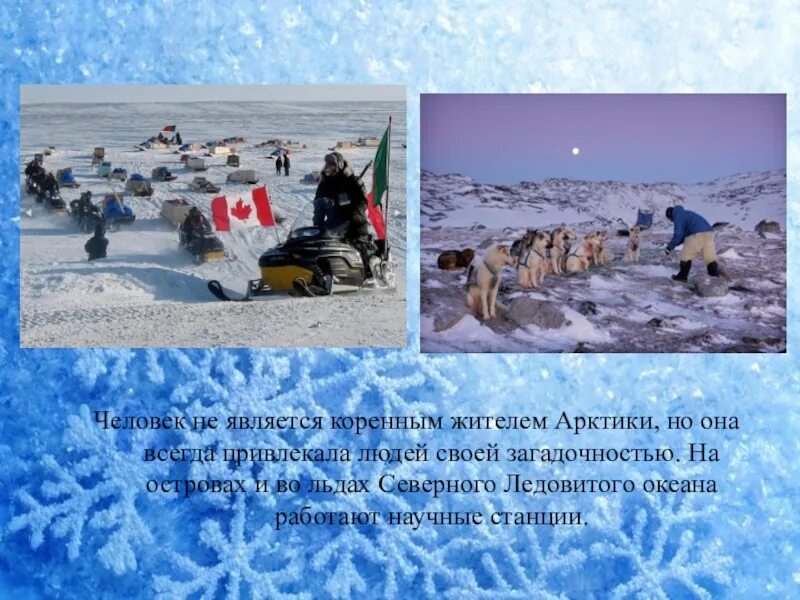 Виды хозяйственной деятельности в арктических пустынях. Занятия людей в Арктике. Арктическая пустыня занятия населения. Коренные народы Арктики. Занятия людей в арктических пустынях.