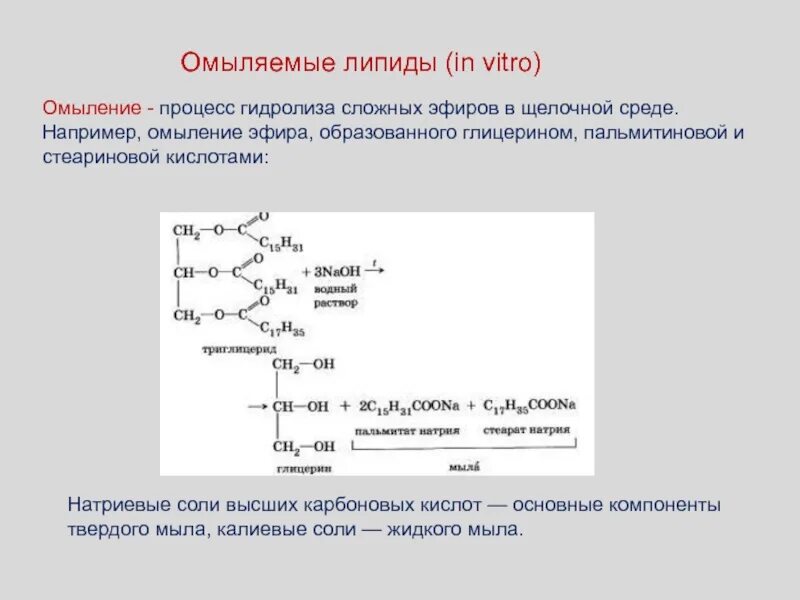 Гидролиз жиров стеариновая кислота. Механизм реакции щелочного гидролиза сложного эфира. Щелочного гидролиза сложных эфиров образуются. Схема щелочного гидролиза сложного эфира. Гидролиз в кислотной среде сложные эфиры.