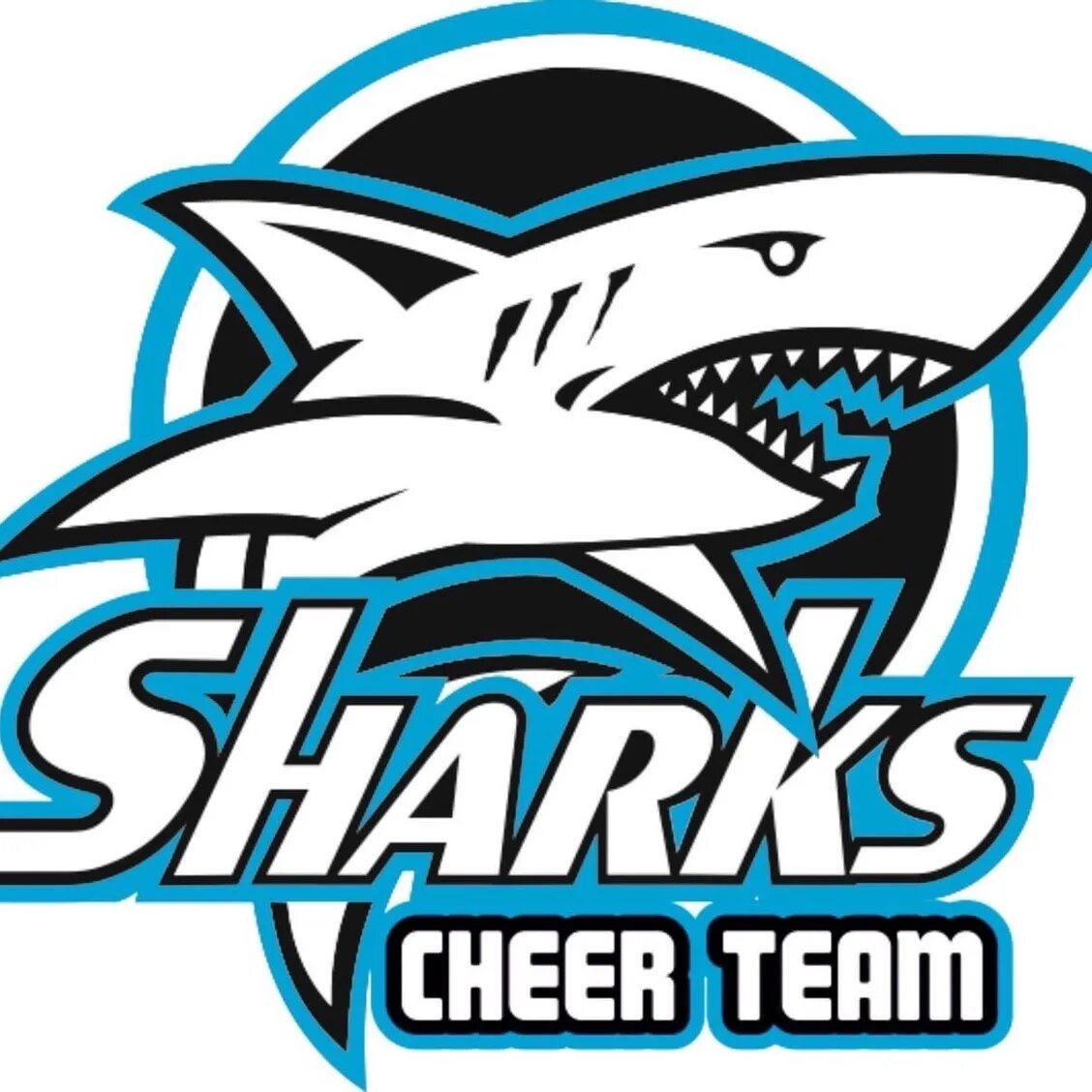 Раскрутка сайта team shark