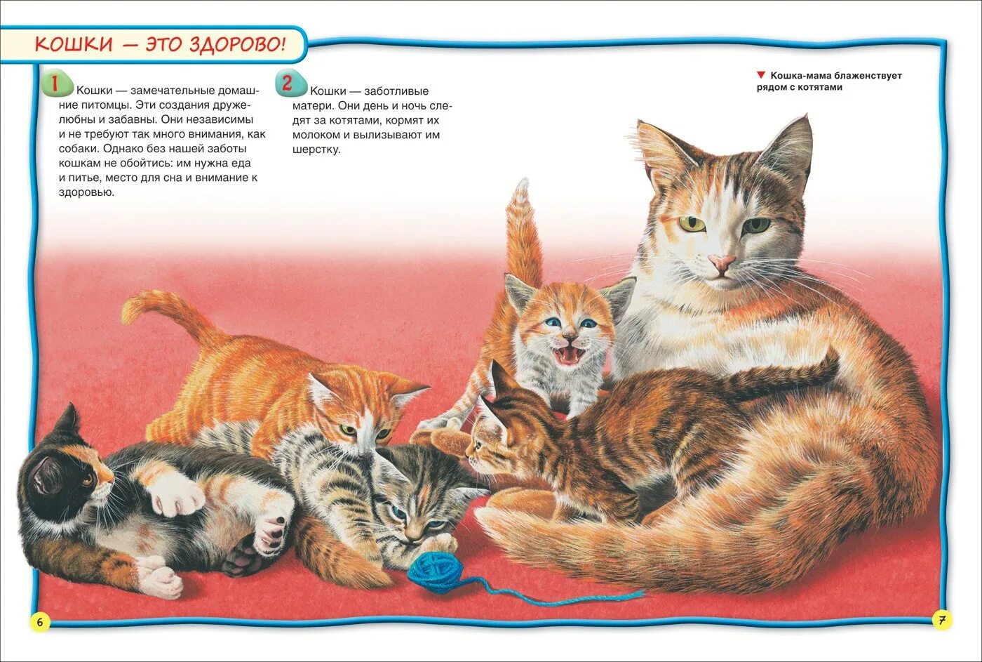 В каких произведениях есть котенок. Кошка для детей. Энциклопедия для детей. Кошки. Книги про кошек. Книги про кошек для детей.