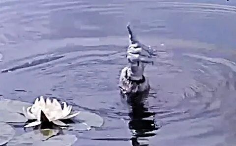 Фрагмент сказки должок