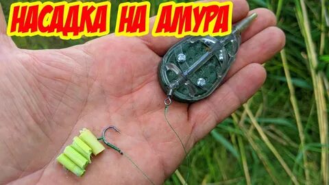Приманка амуру