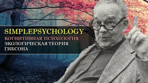 Экологическая теория