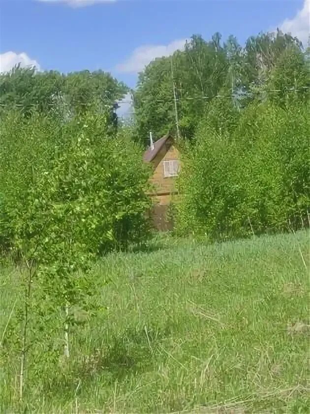 Участки кузяева. Участки кузяева. Участки кузяева. Днп морозово. Участки кузяева.