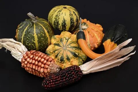Тыква кукуруза