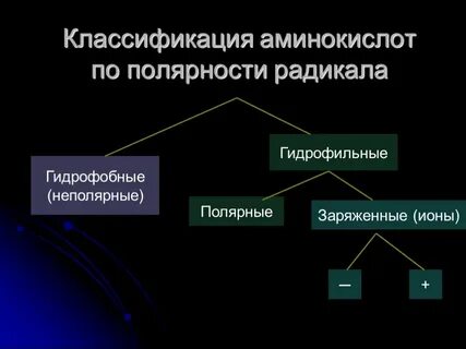 Классификация радикалов