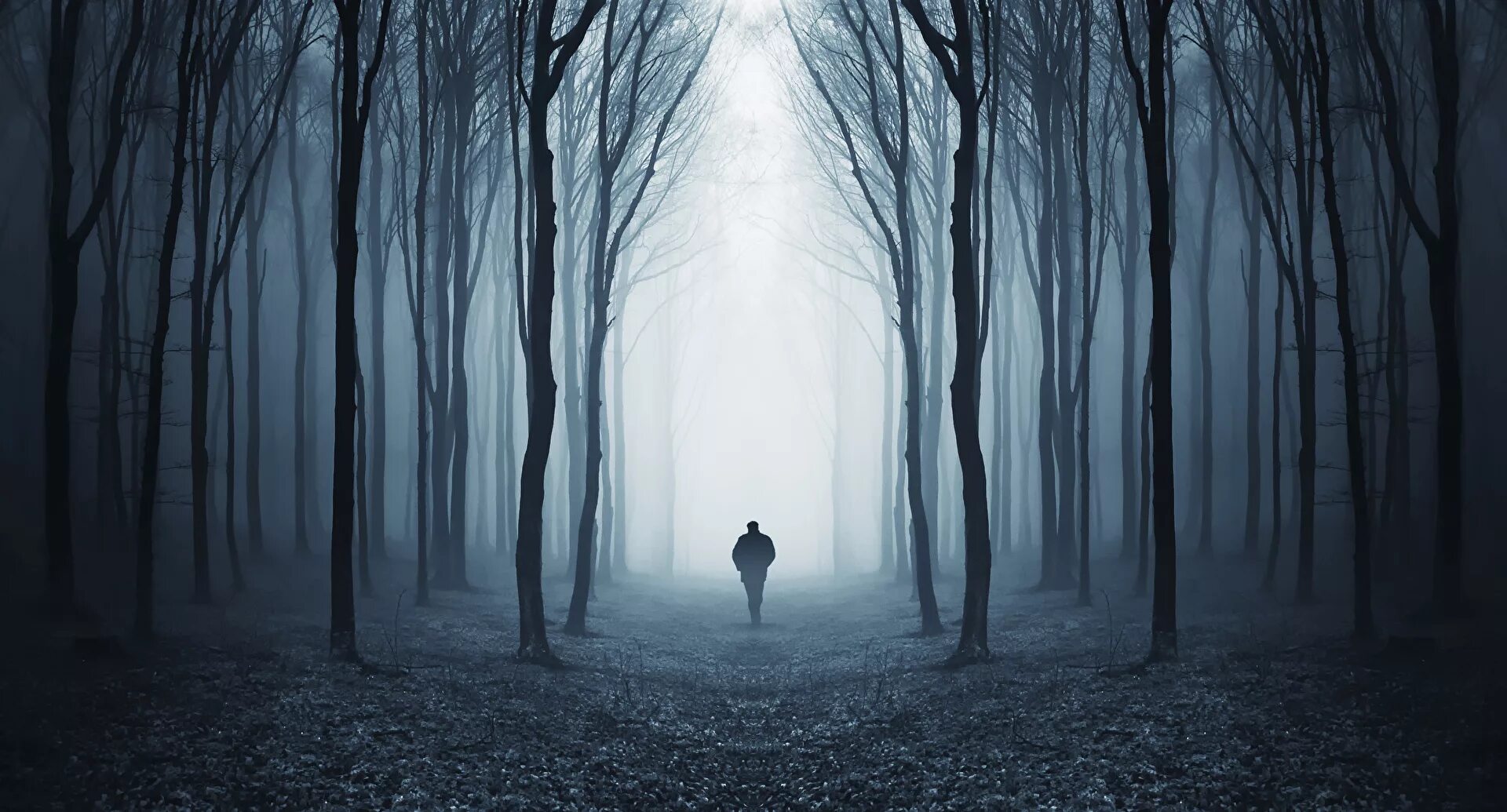 Страшный лес. Ночной лес ужаса. Darkness mystery. Darkness mystery. Мрачный осенний лес.