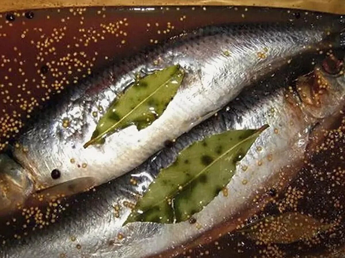 Найти селедку