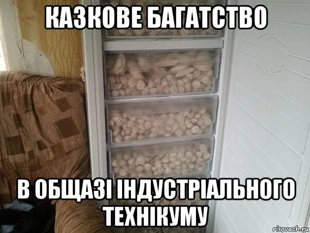 Как живут пельмени в холодильнике. Смешные шутки про пельмени. Пельмешки прикол. Мемы про пельмени. Смешные фразы про пельмени.