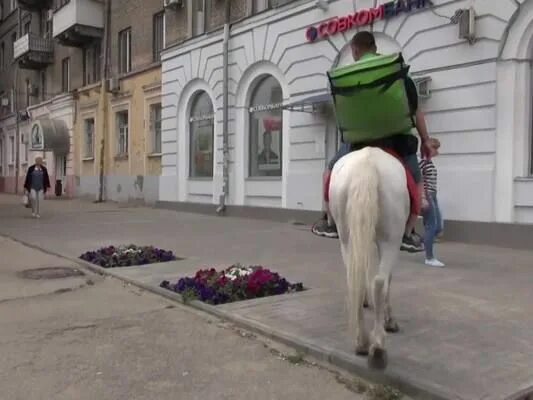 В кон через. Курьер на лошади. Доставщик еды на коне. Конь в стрингах. Лошадь в стрингах.