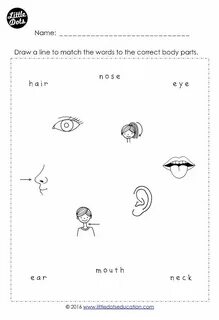 Match the parts of the body